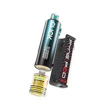 Load image into Gallery viewer, Pyne Pod Click 10k Prefilled Pod Kit