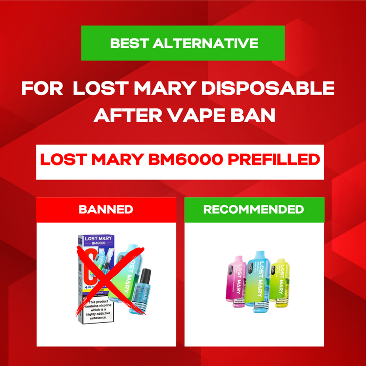 Best Alternative for Lost Mary BM6000 Disposable After Vape Ban